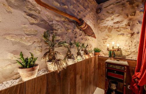 Le Spa du Sorcier - Foto 28