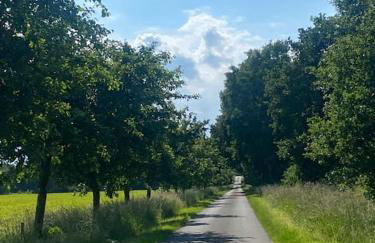 Wunderschöne Ferienwohnung auf dem Bauernhof - Foto 6
