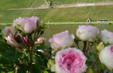 Ferienwohnungen und Gästezimmer Peter Busch - Foto 14