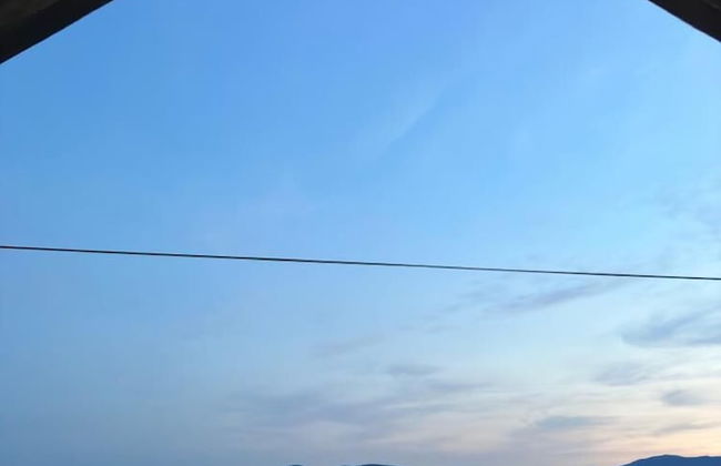 Green Linden - Foto 13