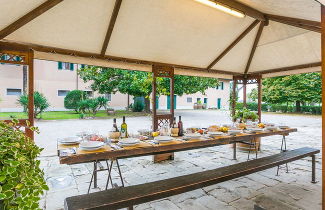 Scaletta + GIrasole - Foto 69