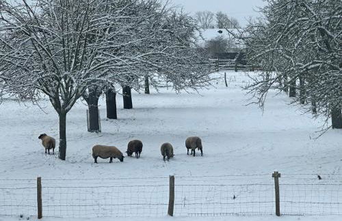 Un mouton dans l'eglise - Foto 38
