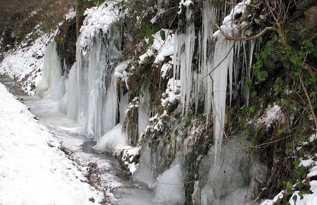 Le Baron Apartments - Photo 39