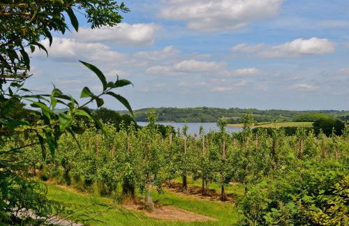 Stable Cottage - Foto 16