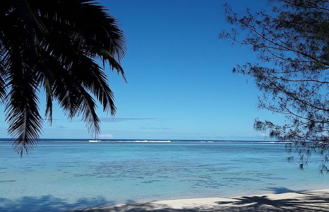 JJ's Retreat - Foto 27