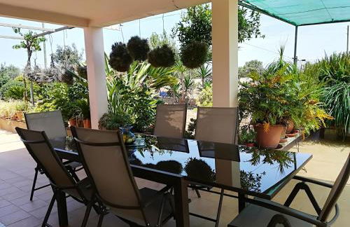 Finca Sa Gruta Marines - Foto 8