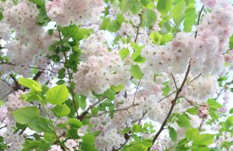 The Chic Retreat - Foto 19