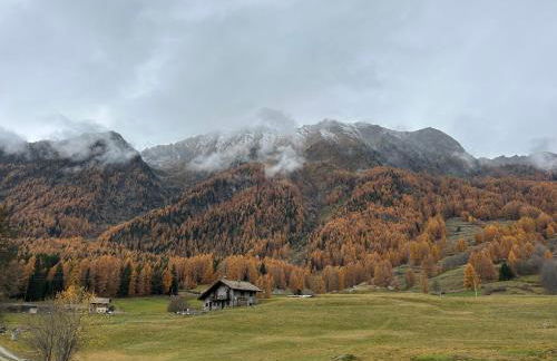 Maison Du Coeur Champoluc - Spa, Gym e aree relax - Foto 74
