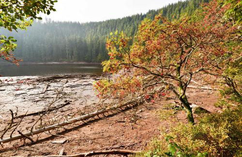 Ferienwohnung Fürstenkopf - Foto 14