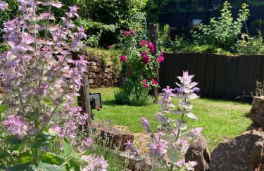 Ferienwohnung mit Weitblick - Foto 7