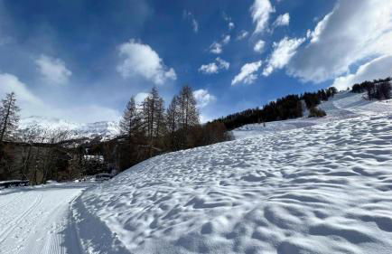 Le Super Refuge de l'Ecureuil - Foto 38