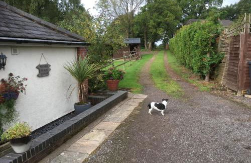 Little Rushbrook Cottages - Foto 48