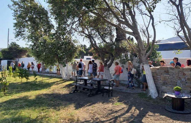 Cata de vinos en una granja de Mykonos - Foto 6