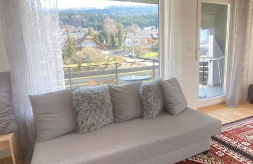 Gemütliche Wohnung mit Berg- und Waldblick - Foto 28