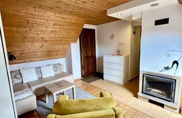 Studio Gościnne ANTEK - Foto 4