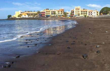 El BAJIO Nr 6 - Foto 62