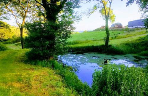 Golwg Y Cwm - Foto 37