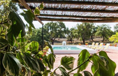 MONTE DO CORTIÇO - Foto 10