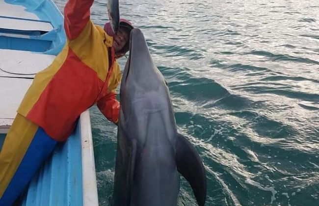 Villas Capitan Petter - Foto 22