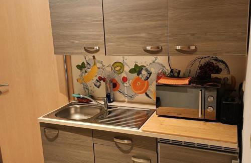 NEU! Ferienwohnung Biberburg EG - Foto 3