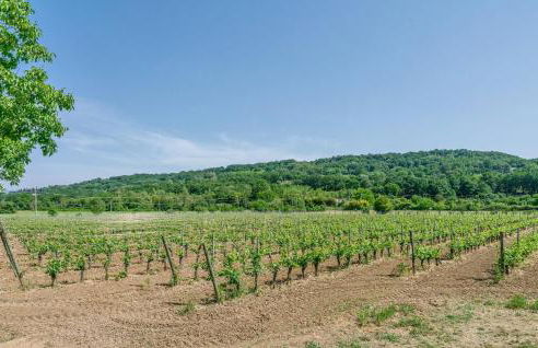 2 Bedroom Awesome Home In Orte - Foto 23