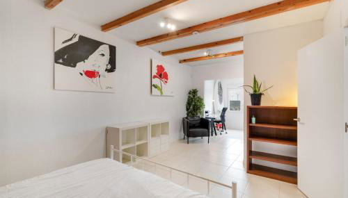 El Doctoral - Foto 4