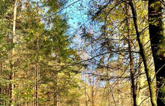 Ferienwohnung Schmied von Almertsham - Foto 50