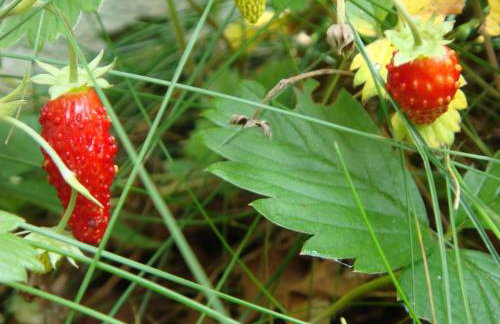 Apartment Karmel - Photo 30