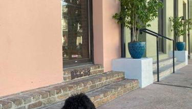 Historic Garden District 5BR with Parking and Balcony - Foto 3