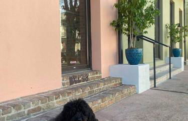 Historic Garden District 5BR with Parking and Balcony - Foto 3