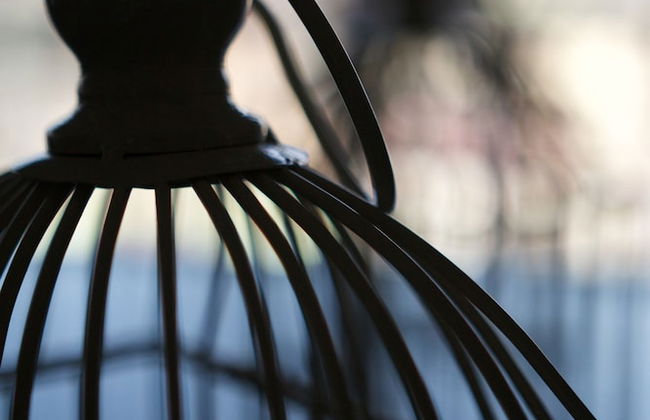 Departamento Céntrico Guadalajara - Foto 65