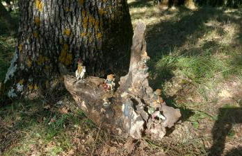 I Tre Lecci - Photo 42