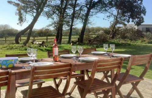 Pen Braint - Foto 20