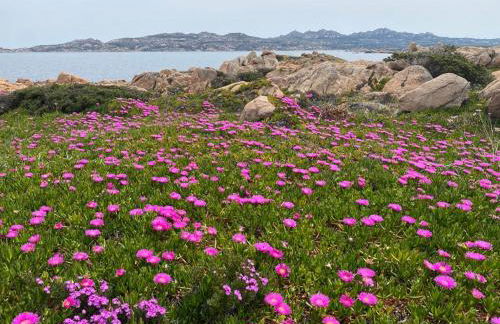 CASA MUGHETTO R5055 WiFi, seafront, private sea access, swimming pool - Foto 30