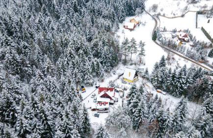 Chata Pod Lasem - Foto 65