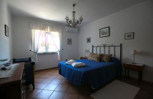 Tapada da Beirã - Foto 22