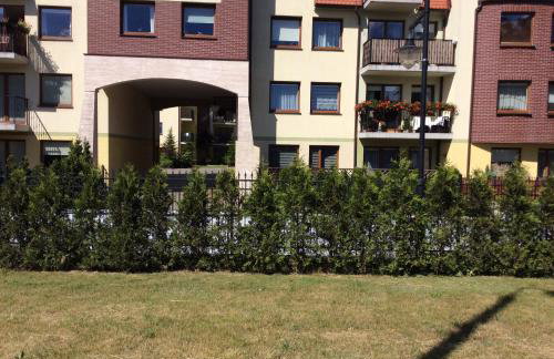 Apartament Bukowy - Foto 8