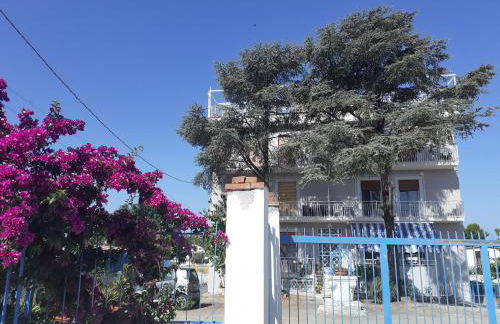 Luli Holidays Paestum - Foto 6