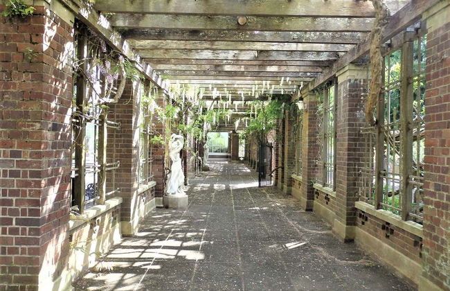 Auckland Full Day Tour - Photo 8