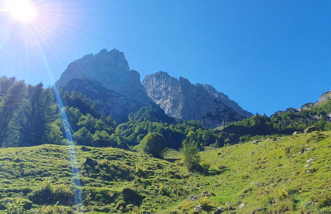 Apartment in Kirchdorf Near Ski Slopes - Foto 15