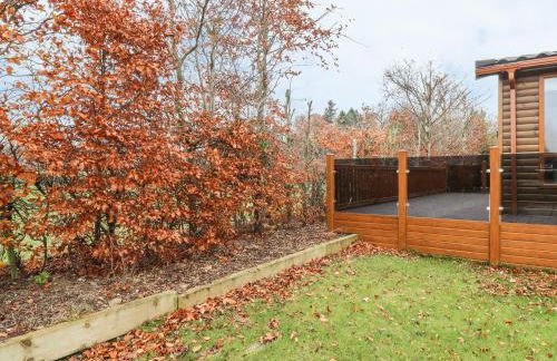 Avonal Lodge 24 - Photo 12