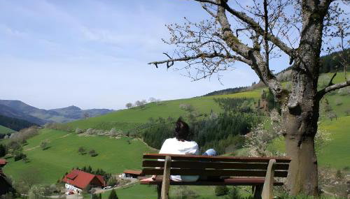 Unterer Gurethshof - Foto 4