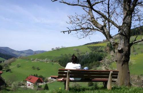 Unterer Gurethshof - Foto 4