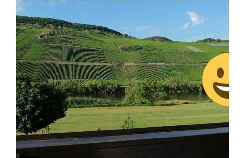 Holiday Apartment Moselle Beach 1 - Foto 55