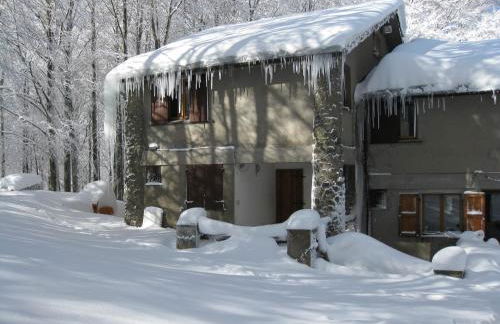 Casa nel bosco alle Macinaie - Foto 8