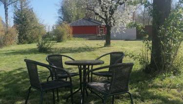 Ferienwohnung III Sarrebriese - Photo 5, Garden