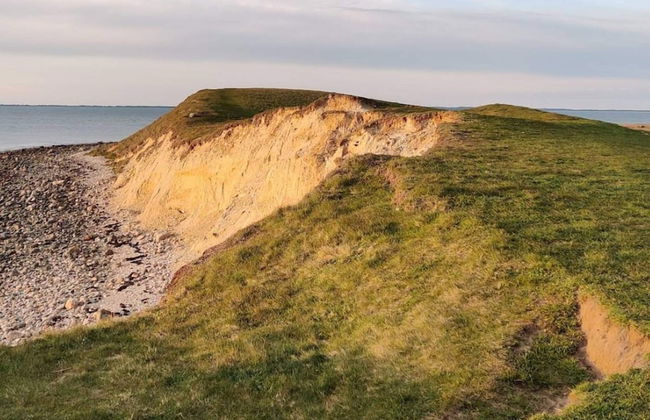 4 Person Holiday Home in Grevinge - Foto 33