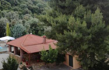 Achladi Beach - Photo 77