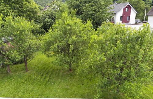 Haus Einruhr - Photo 43