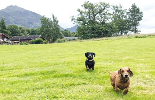 Lodge by the Lake - Lake District - Hot Tub - Foto 36